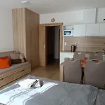 U Sjezdovky Apartment *
