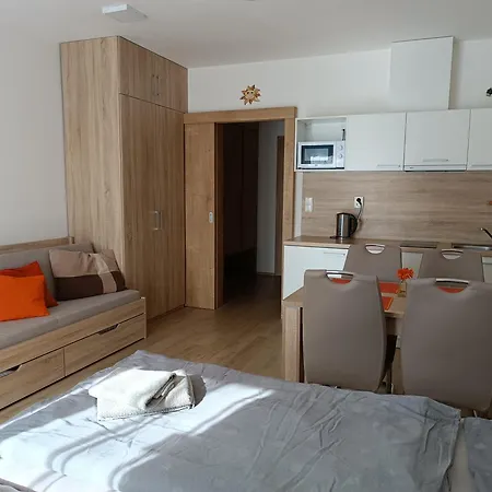 U Sjezdovky Apartment *