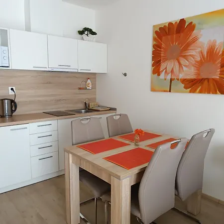 U Sjezdovky Apartment Dolní Morava