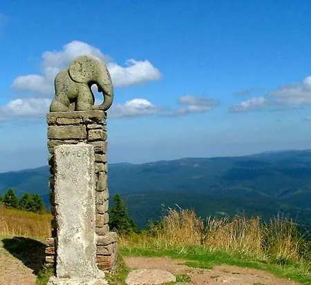 U Sjezdovky Appartamento Dolní Morava