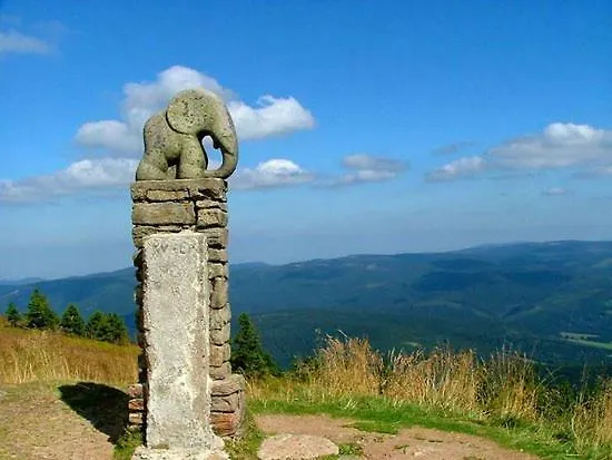 U Sjezdovky Apartamento Dolní Morava