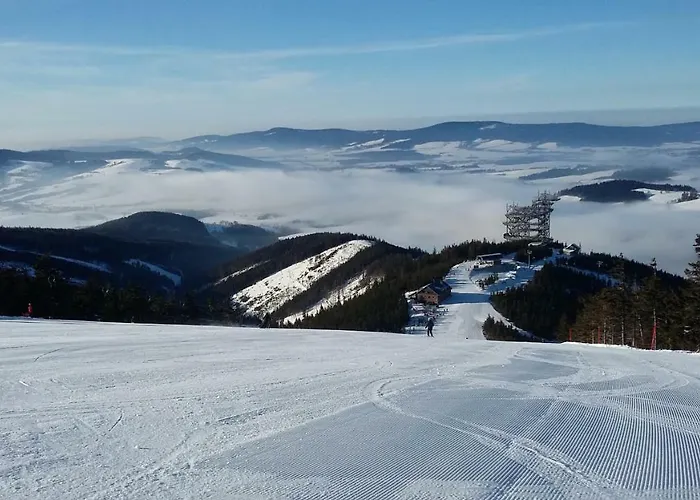 Lägenhet U Sjezdovky